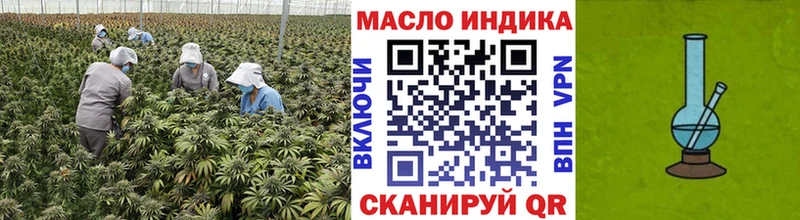 Купить закладки  Курлово  ТГК Wax 