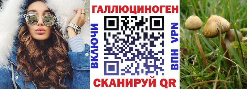 Галлюциногенные грибы прущие грибы  Купить где  Курлово 