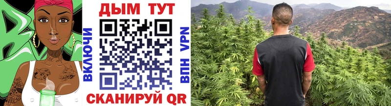 Шишки марихуана White Widow Курлово